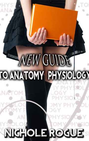 New Guide To Anatomy And Physiology